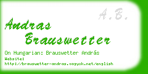 andras brauswetter business card