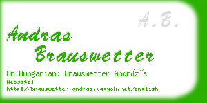 andras brauswetter business card